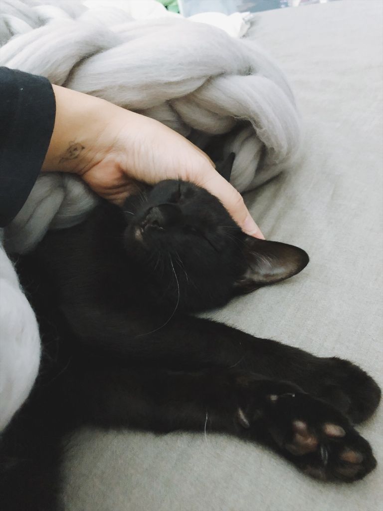 相片 2018-1-12 11 47 16.jpg 相片 2018-1-12 11 47 16.jpg