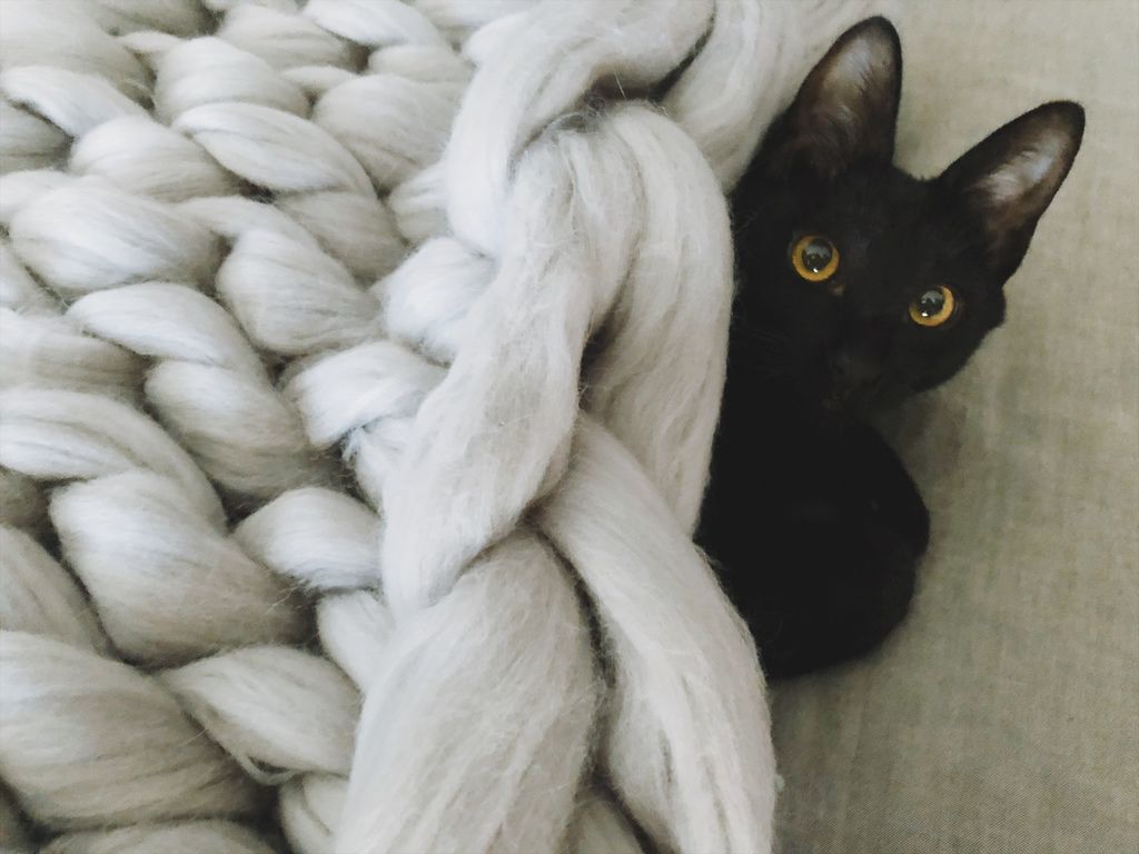 相片 2018-1-12 11 57 08.jpg 相片 2018-1-12 11 57 08.jpg