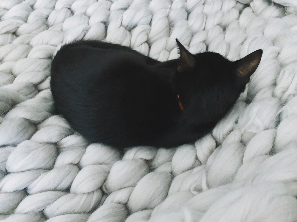 相片 2018-1-14 13 58 32.jpg 相片 2018-1-14 13 58 32.jpg