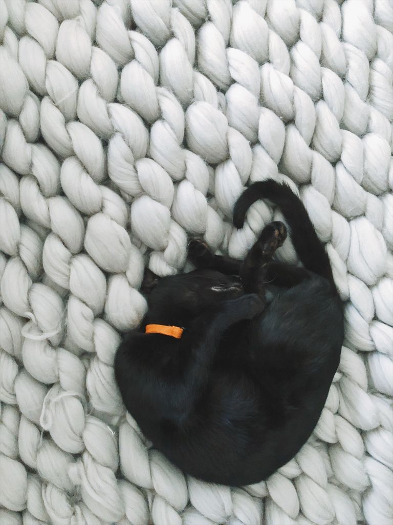 相片 2018-1-14 14 41 07.jpg 相片 2018-1-14 14 41 07.jpg