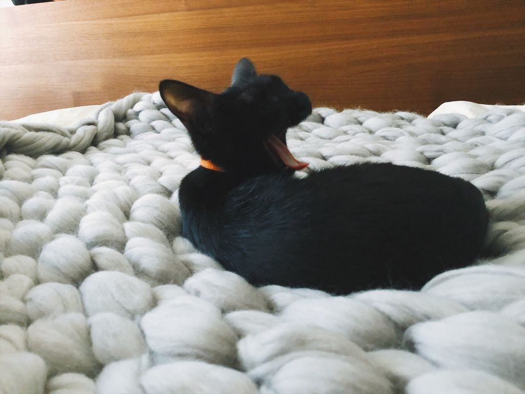 相片 2018-1-14 15 07 20.jpg 相片 2018-1-14 15 07 20.jpg