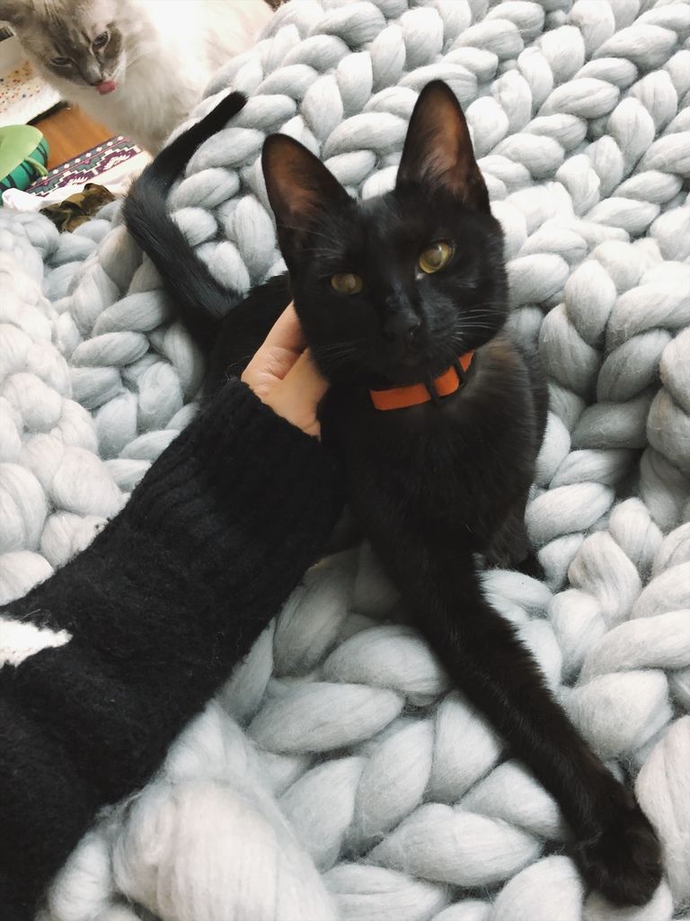 相片 2018-2-4 22 04 43.jpg