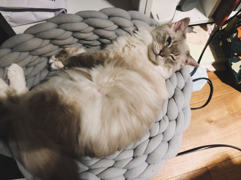 相片 2018-1-16 01 28 41.jpg