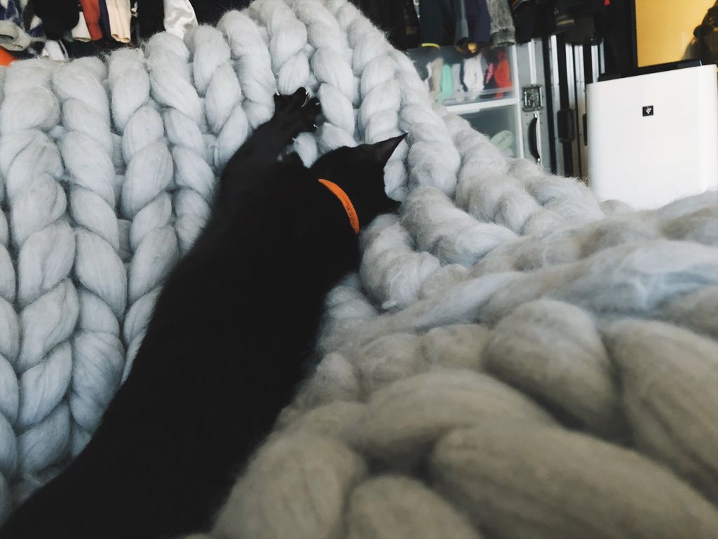 相片 2018-2-14 08 54 13.jpg 相片 2018-2-14 08 54 13.jpg