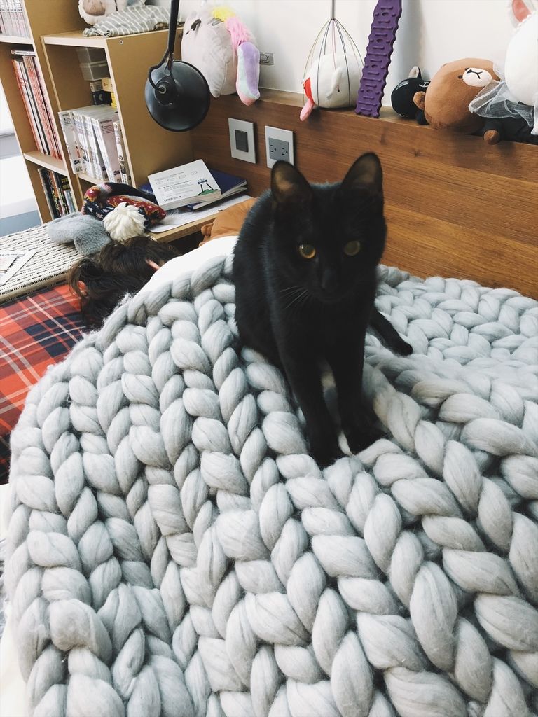 相片 2018-2-5 12 19 22.jpg 相片 2018-2-5 12 19 22.jpg