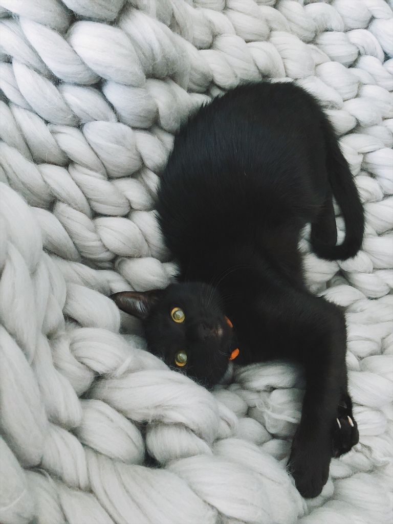 相片 2018-1-14 13 54 46.jpg 相片 2018-1-14 13 54 46.jpg