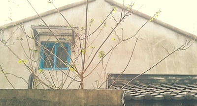 20110306163123.jpg