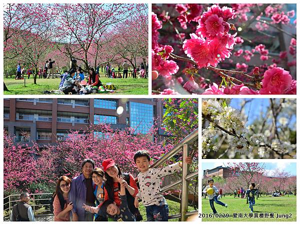 20160229-暨南大學賞櫻野餐.jpg