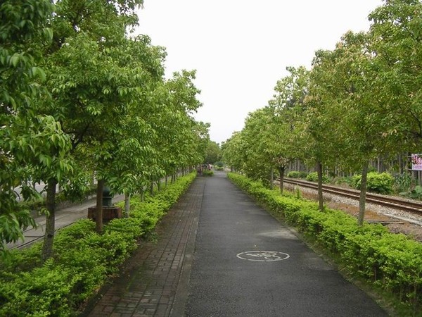 小型的綠色隧道
