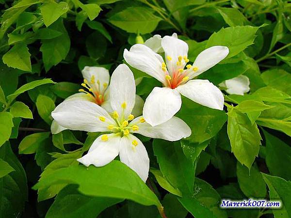 DSCN2229.jpg