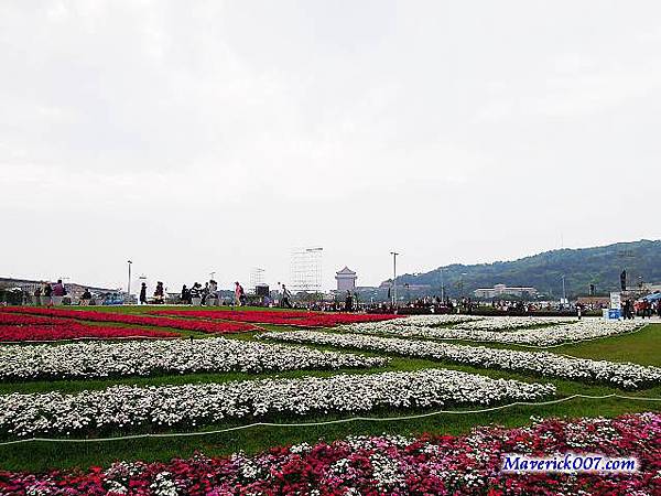 DSCN0171.jpg