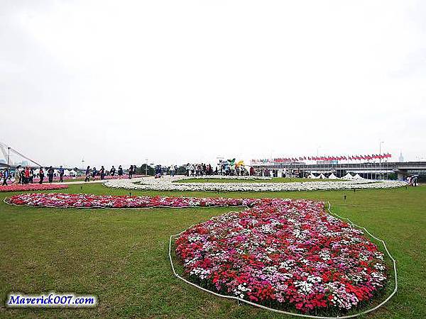 DSCN0175.jpg