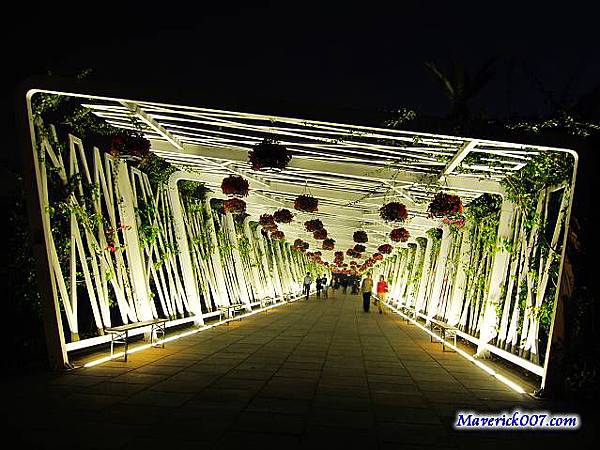 IMG_5564.jpg