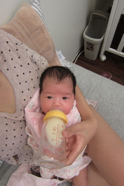 IMG_0491 IMG_0491