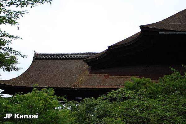 清水寺 (6)