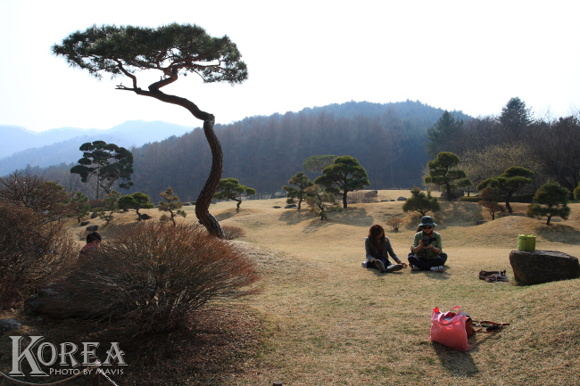 0404_晨靜樹木園 (9)