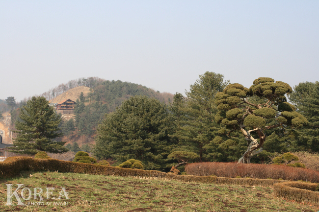 0404_晨靜樹木園 (13)