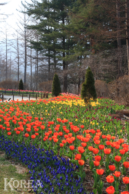 0404_晨靜樹木園 (19)