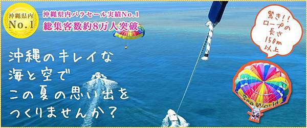 sea world拖曳傘 sea world拖曳傘