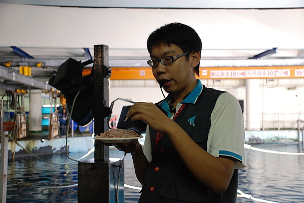 用南極蝦餵魚 用南極蝦餵魚