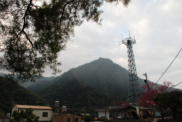 溫泉旅館在部落旁