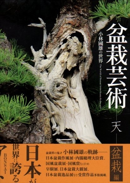 盆景藝術天盆栽篇 小林國雄作品集 懋榮的建築土木室內傢俱木工盆栽藝術景觀庭園農業技術專業書訂購網 痞客邦 盆景藝術天盆栽篇 小林國雄作品集 懋榮的建築土木室內傢俱木工盆栽藝術景觀庭園農業技術專業書訂購網 痞客邦