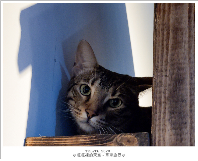 20201206-05.jpg 20201206-05.jpg