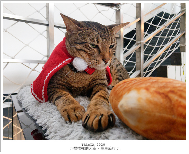 20201206-06.jpg 20201206-06.jpg