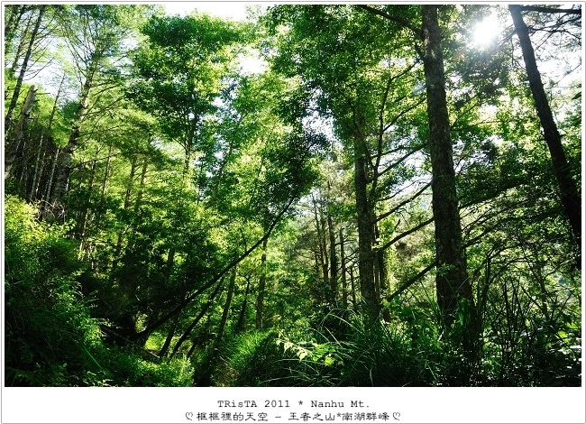 0101-04.jpg 0101-04.jpg