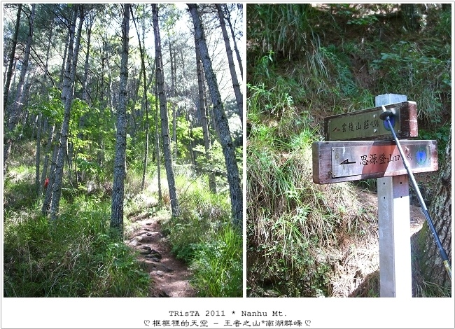 0101-05.jpg 0101-05.jpg