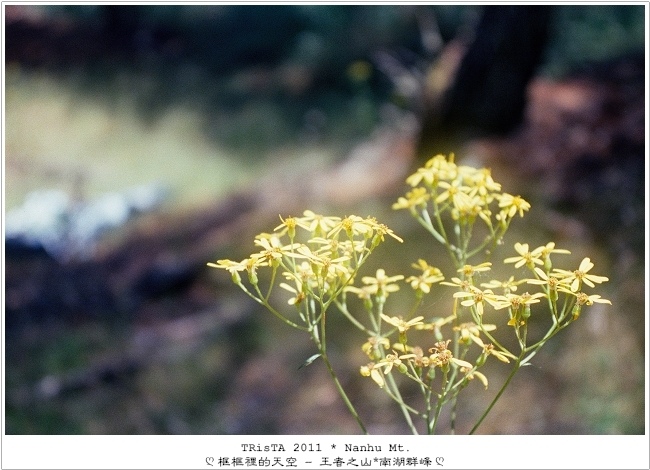 0101-16.jpg 0101-16.jpg