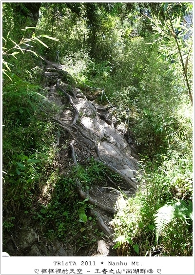 0101-19.jpg 0101-19.jpg