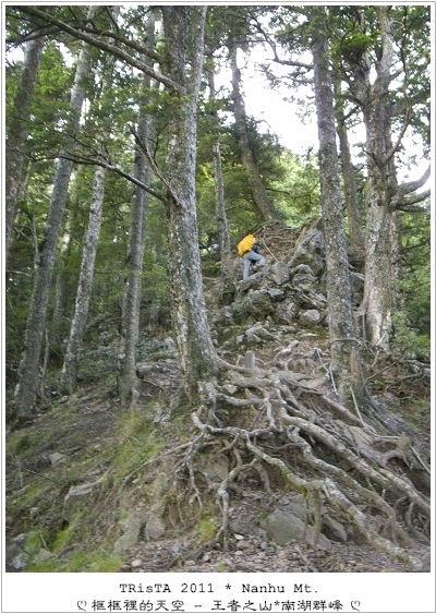 0201-06.jpg 0201-06.jpg