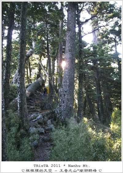 0201-04.jpg 0201-04.jpg