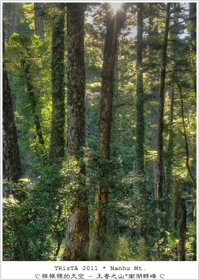 0201-05.jpg 0201-05.jpg