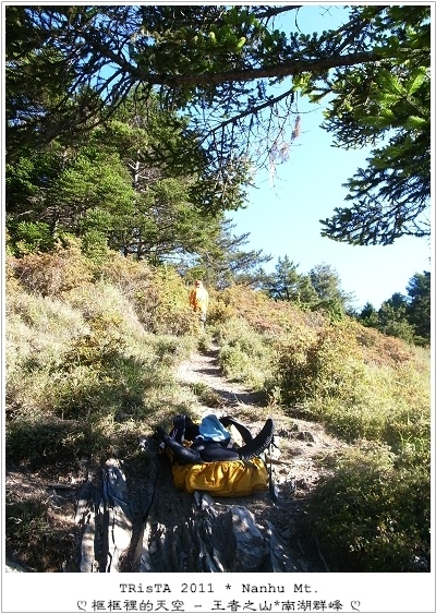 0201-11.jpg 0201-11.jpg