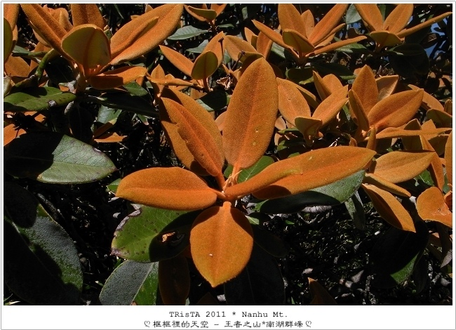 0203-05.jpg 0203-05.jpg