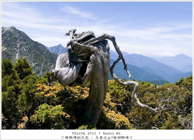 0203-14.jpg 0203-14.jpg