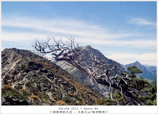 0203-13.jpg 0203-13.jpg