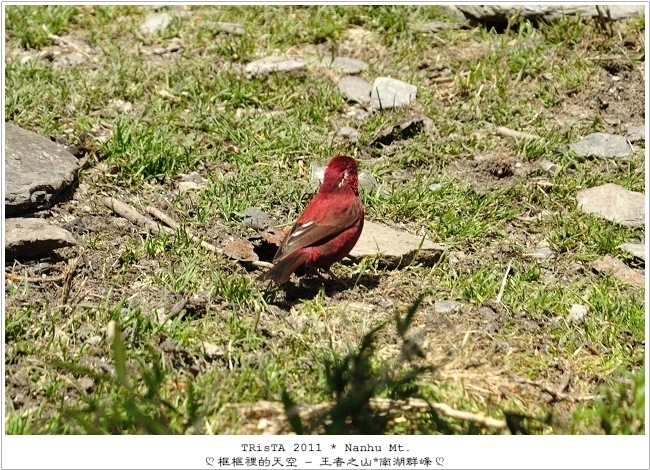 0203-26.jpg 0203-26.jpg