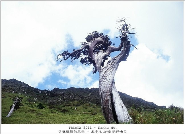 0203-27.jpg 0203-27.jpg