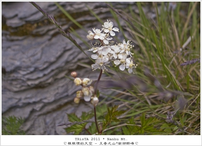 0206-06.jpg 0206-06.jpg