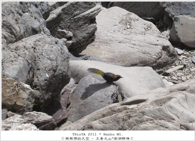 0206-04.jpg 0206-04.jpg