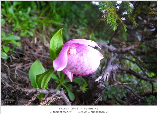 0206-10.jpg 0206-10.jpg