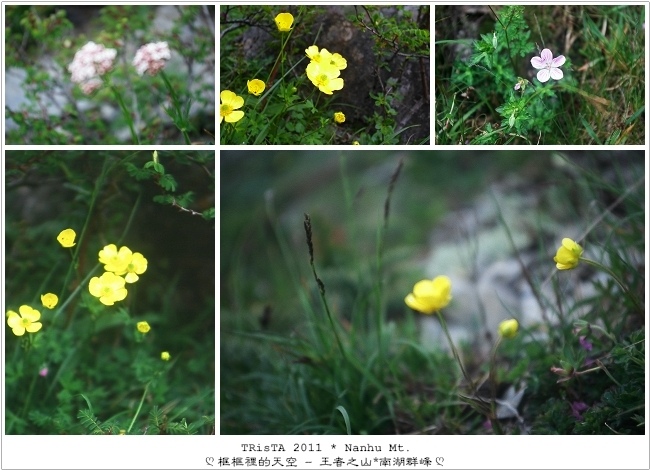 0206-08.jpg 0206-08.jpg