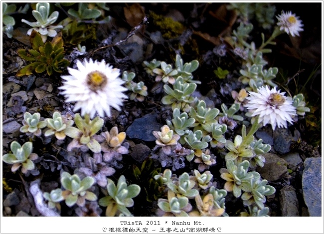 0206-07.jpg 0206-07.jpg