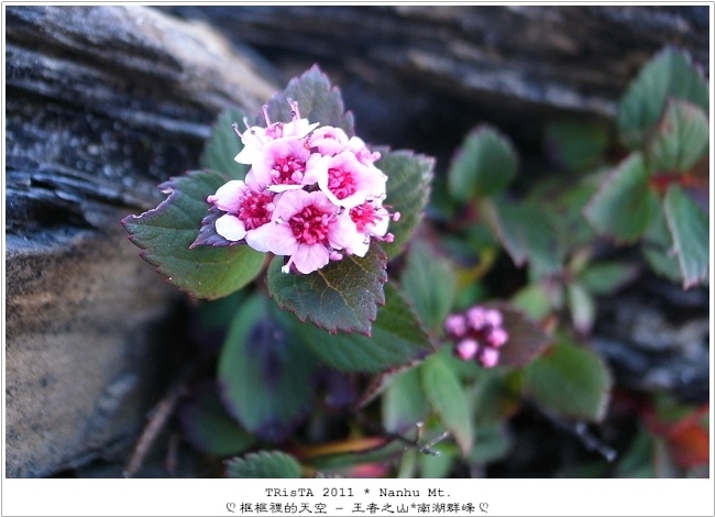 0302-06.jpg 0302-06.jpg