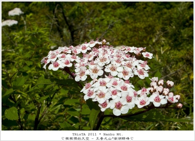 0304-12.jpg 0304-12.jpg