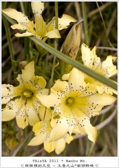 0304-14.jpg 0304-14.jpg