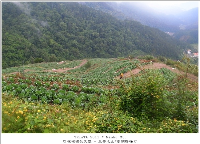 0401-02.jpg 0401-02.jpg